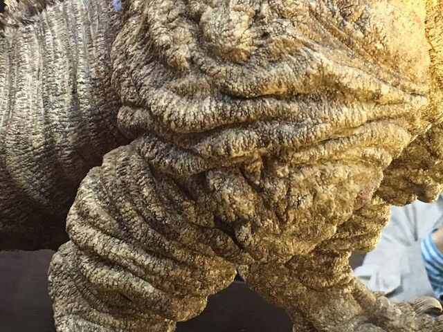 File:Shingojira maquette 16.jpg