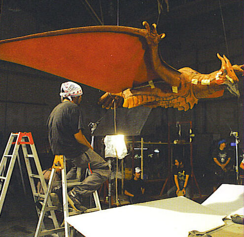 File:FinalRado behind.jpg