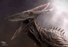 Rodan 2018