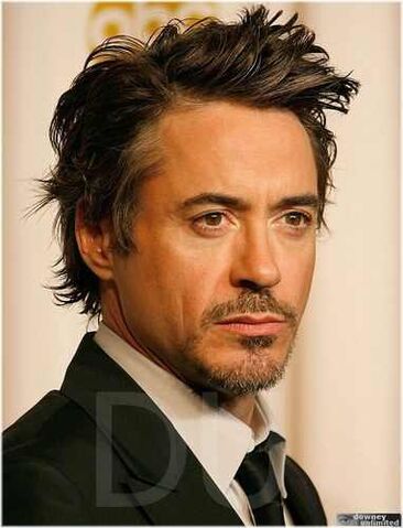 File:5038018-Downey, Jr.jpg