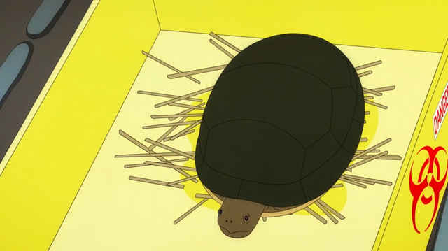 File:Introducing Shell Raiser.png