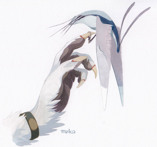 File:Tals bird.png
