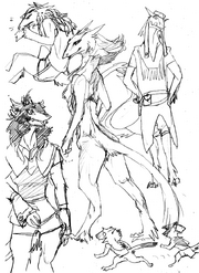 Newsergal3