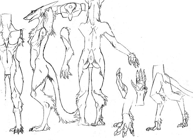 File:Sergalanatomy.jpg