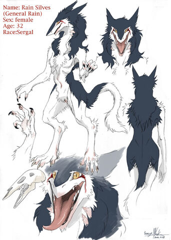 File:Rain Character Sheet.jpg