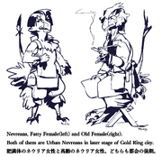 Fatty-female-and-Old-female