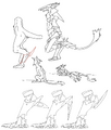 Thumbnail for version as of 16:16, October 3, 2015