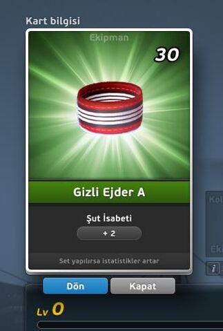 File:Gizli Ejder A Bileklik.jpg