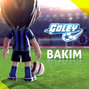 Bakım 2
