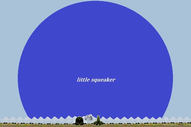 File:Little Squeaker.jpg