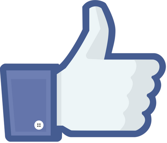 File:Facebook thumb.png