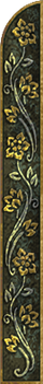 Tyrell Border Left