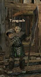 Tangach