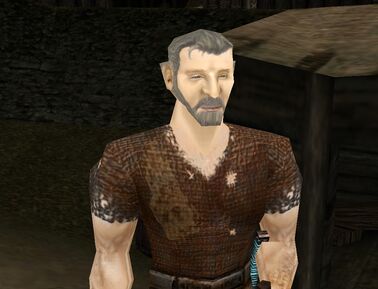 Soubor:Gravo.jpg