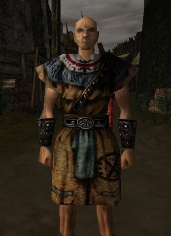 Soubor:Balparvez.jpg