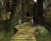 Swampcamp Gate