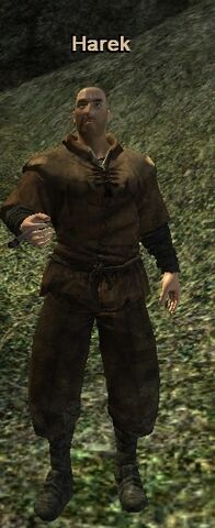 Soubor:Harek.jpg