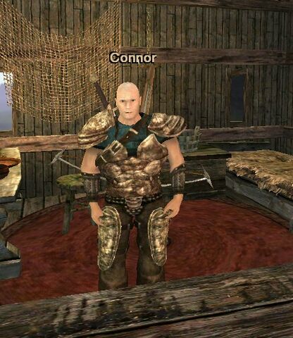 Soubor:303.jpg