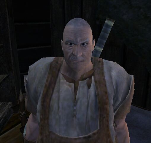 Soubor:Ingvar.jpg