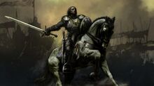 Knights-warriors 00418858