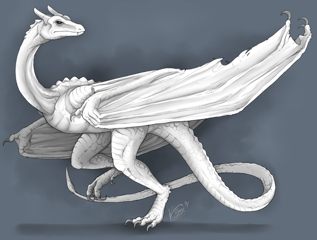 File:Uploads 92e567da-6617-4347-a880-1f3f4c6fc54b-white wyvern by raptorbarry-d4fifmk.png