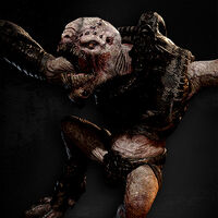 Locust Wretch