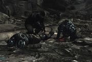 KR Two-Five Survivors