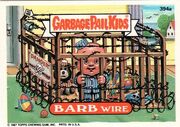 Barb Wire