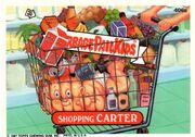 Shopping Carter