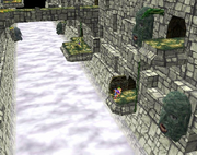 Dom Ruins Chasm