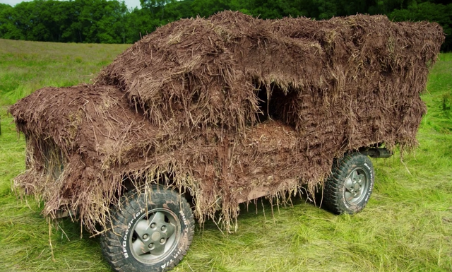 File:Peat-T-I.png