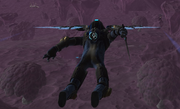 Wingsuit crop