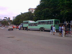 Qeshqer Camello
