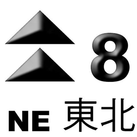 File:No. 8 Northeast Gale or Storm Signal.png