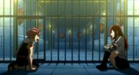 Natsu and real Erza in prison