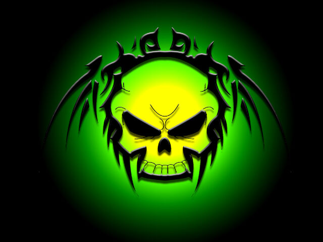 File:Skull by MarcusN.jpg