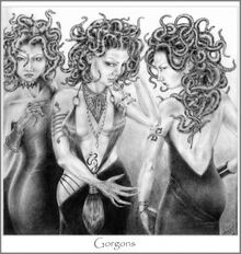 Snake Sisters