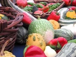 CSA Delivery
