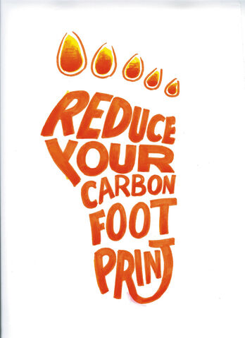 File:Reduce your carbon footprint.jpg