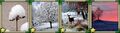 Thumbnail for version as of 01:31, October 15, 2009