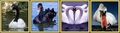 Thumbnail for version as of 15:54, October 15, 2009