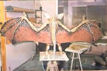 File:BatGremlinFullBack.JPG