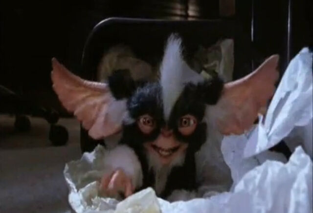 File:Mogwai Mohawk.jpg