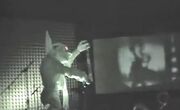 Film Holding Gremlin