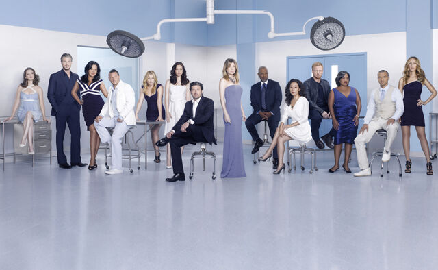Fichier:Season-7-Cast-Promotional-Photo-HQ-Version-greys-anatomy-15634330-2560-1574.jpg