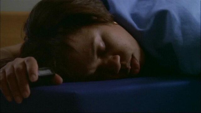 Archivo:Baileysleeps.jpg