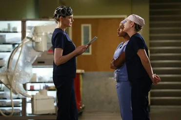 Nicole Herman | Grey's Anatomy and Private Practice Wiki | FANDOM