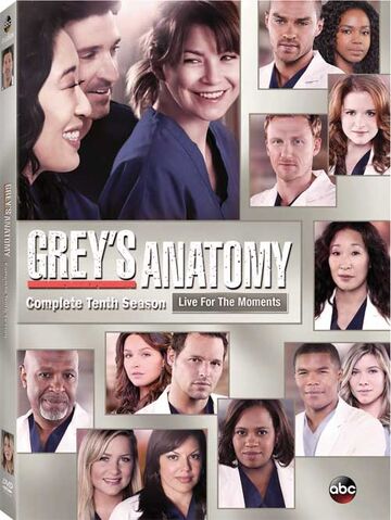 Archivo:GreysAnatomyT10DVD.jpg