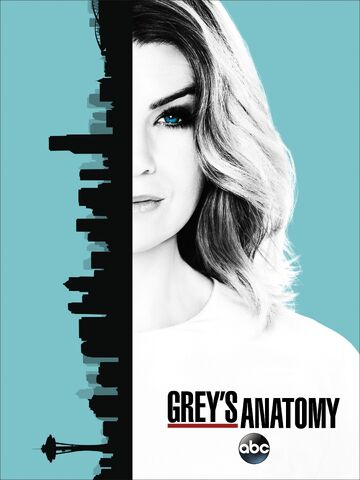 Archivo:Temporada 13 poster.jpg