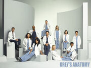 Greys-anatomy-season-4-wallpaper